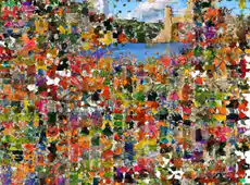 10 Most Recommended 200 Piece Puzzle