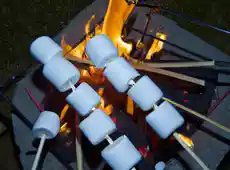 10 I bastoncini per arrostire le marshmallow più raccomandati.