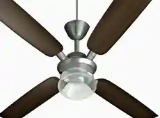 10 Most Recommended 3 blade ceiling fan