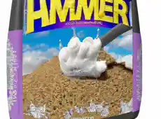 10 Most Recommended Arm And Hammer Cat Litter