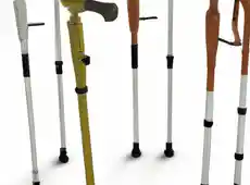 10 Most Recommended Walking Canes