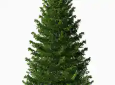 10 Most Recommended 12 foot Christmas Tree