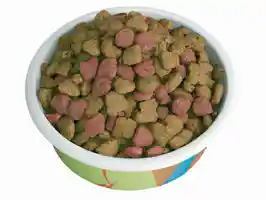 10 Most Recommended Dog Food