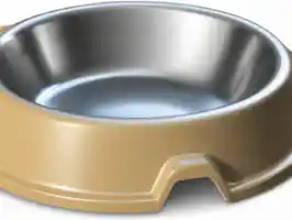 10 Most Recommended Slow Feeder Dog Bowl
