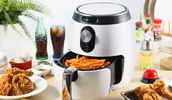 10 Most Recommended Air Fryers
