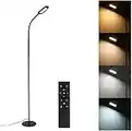 Led Floor Lamp Remote & Touching Control 4 Colour Temperatures with Stepless Dimmable for Bedroom Living Room Office,Iron, Black