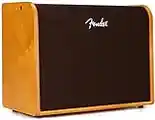 Fender Acoustic 100 Guitar Amplifier