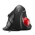 Nulea Wired Trackball Mouse für große Hände, Vertikale Ergonomische Maus mit Trackball, Einfache Daumensteuerung mit 5 einstellbaren DPI, Kompatibel für PC, Laptop, Mac, Windows