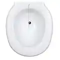 Bidé sanitario acoplable al inodoro, Plástico, 38 x 41.5 x 14 cm, Portátil, Con tapón, Universal, Bidé adaptable para WC, Bidé para inodoro, Transportable, Bidet acoplable para WC, Blanco