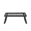 Amazon Basics Medium Portable Folding Camping Grill Grate - 16.1 inches/41cm , Black Steel