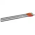 Barnett Crossbows 20-Inch Headhunter Arrows (Bulk 48)