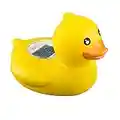 Baby Duck Thermometer, the Infant Baby Bath Floating Toy Safety Temperature Thermometer (Duck Yellow)