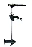 Minn Kota Endura C2 45 Freshwater Transom Mounted Trolling Motor (36" Shaft)