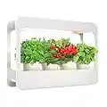 TORCHSTAR LED Indoor Herb Garden, CRI 95+, Herb Grower Light with Timer, Indoor Gardening System, Full Spectrum Light, 24V Garden Kit for Plant Grow Novice, White, 4000K, Pots & Plants Not Included