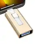 Sunany USB Flash Drive 256 GB for Phone and Pad, High Speed External Thumb Drives USB Memory Storage Photo Stick for Save More Photos and Videos (Gold)