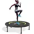 Jandecfit Mini Trampoline Pliable Ø 101 cm,Trampoline de Fitness Adapté à Une Utilisation en Extérieur et en Intérieur Trampoline de Fitness Professionnel pour Adultes,Charge Maximale 150kg