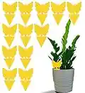 Fruit Fly and Fungus Gnat Trap (12 Pack) - Yellow Double Sided Sticky Bug Insect Killer for Indoor and Outdoor - No Gnat