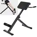 Haofy Silla Romana Ajustable Hiperextensión, Entrenamiento Multifuncional Banco De Hiperextensión Plegable Espalda En Casa Gimnasio Silla De Ejercicio Equipo De Fitness