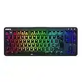 Fnatic miniStreak - LED Backlit RGB Mechanical Gaming Keyboard - Cherry MX Silent Red Switches - Small Compact Portable Tenkeyless Layout - Pro Esports Gaming Keyboard (UK Layout, QWERTY)