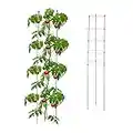 Relaxdays Rankhilfe, 2er Set, Tomatensäule für Garten & Balkon, 150 cm, je 5 Ringe, Pflanzstäbe Eisen & Kunststoff, grün