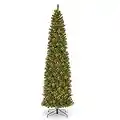 National Tree 12 Foot Tacoma Pine Pencil Slim Tree