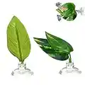 2 pièces Feuille de Repos de Poisson Betta,Feuille de Frai Betta, Accessoires D'aquarium de Lit de Feuilles Artificielles Ornementales Simples et Doubles Couches,Feuilles de Simulation avec Ventouse