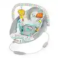 Bright Starts Comfy Baby Bouncer Soothing Vibrations Infant Seat - Taggies, Music, Removable-Toy Bar, 0-6 Months Up to 20 lbs (Whimsical Wild)