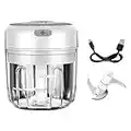 T.Y.G.F Mini Hachoir Électrique, 100ML Électrique Robot Culinaire Portable avec 3 Lames Tranchantes Hachoir Alimentaire Processeur de Hachoir pour Aliments pour Bébé, Viande, Oignon