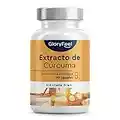 Cúrcuma 17.000mg - Extracto al 95% Cúrcuma orgánica con pimienta negra - El contenido de curcumina de UNA cápsula equivale a 17.000mg de curcuma