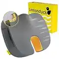 Lemonduck Office Chair Seat Cushion Pad for Lower Back, Coccyx Pain & Sciatica Relief (Grey)