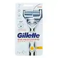 Gillette SkinGuard Sensitive Razor