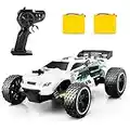 Tecnock RC Car Remote Control Car for Kids, 1:18 High Speed 20 KM/H 2WD RC Buggy, 2.4GHz Off Road Racing Car with Two Rechargeable Batteries, Gift for Boys and Girls (White)