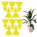 10 Pack Fruit Fly Traps Yellow Fungus Gnat Killer, Double-sided Sticky Fruit Fly Killer Fly Paper Bug Insect Catcher Fly Trap Fly Insect Control for Houseplant Indoor and Outdoor (Flower)