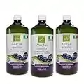 Benessence - Succo di Aloe Vera e Mirtillo - 3L