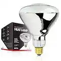 BULBMASTER 250 Watts R40 Clear Heat lamp Light Bulbs Infrared Flood Incandescent 250R40/HR Medium E26 Base 1 Pack