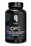 9 Leben OPC-Traubenkernextrakt | 180 Kapseln | hochdosiert nach HPLC | Laborgeprüftes OPC | 1200mg Extrakt mit 820mg OPC Tagesdosis | vegan | pur | bio | made in D.