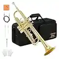 Eastar Bb Standard Trumpet Set for Beginner, Brass Student Trumpet Instrument with Hard Case, Cleaning Kit, 7C Mouthpiece and Gloves, ETR-380, Golden