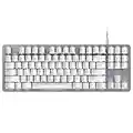 Razer BlackWidow Lite TKL Tenkeyless Mechanical Keyboard : Orange Key Switches - Tactile & Silent - White Individual Key Lighting - Compact Design - Detachable Cable - Mercury White, one Size