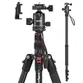 SmallRig 71" Camera Tripod, Foldable Aluminum Tripod & Monopod, 360°Ball Head Detachable, Payload 33lb, Adjustable Height from 16" to 71" for Camera, Phone-3935