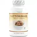 Nattokinase - 180 Kapseln mit je 100 mg (20.000 FU/g) - 6 Monatsvorrat - Laborgeprüft - Hochdosiert - Vegan - Aus GMO-freien Soja - Ohne unerwünschte Zusätze