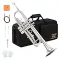 Eastar Bb Standard Trumpet Set for Beginner, Brass Student Trumpet Instrument with Hard Case, Cleaning Kit, 7C Mouthpiece and Gloves, ETR-380N, Nickel