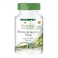 Fairvital | Extracto de Saw Palmetto 300mg - Serenoa repens + Beta-Sitosterol - VEGANO - Dosis elevada - 90 Cápsulas - Calidad Alemana