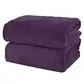 MOONQUEEN 2 Pack Premium Bath Towel Set - Quick Drying - Microfiber Coral Velvet Highly Absorbent Towels - Multipurpose Use as Bath Fitness, Bathroom, Shower, Sports, Yoga Towel (Grape Purple)