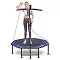 Trampoline de Fitness d'intérieur pour Adulte - Mini Trampoline de Fitness Pliable - pour l'extérieur et l'intérieur - avec Support de téléphone Portable et Porte-gobelet (Octagon)