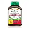 Ginkgo Biloba 4,000 mg - Gluten-Free, 90 Count (Pack of 1)