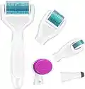 Roller Derma, Nivlan Microneedle Derma Roller 6-IN-1 Kit, Breett Micro aiguille Roller, avec ses micro-aiguilles, rouleau pour régénération de la peau, anti vieillissement - Acier inoxydable 0.25mm