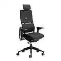 Steelcase Please Ergonomischer, höhenverstellbarer Bürodrehstuhl verstellbare Lordosenstütze, verstellbare Armlehnen, komfortable Polsterung, Stoffbezug (Farbe Onyx), verstellbare Kopfstütze