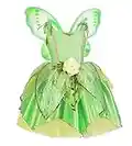 ToLaFio Tinkerbell Costumes Princess Costume for Girls Birthday Role Play Dress Up Ball Gown Halloween Fancy Party Dress with Wings