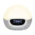 Lumie Bodyclock Shine 300 - Réveil et Simulateur d’Aube et de Crépuscule avec Radio et 14 Mélodies