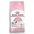 Royal Canin Comida para gatos Babycat 2 Kg